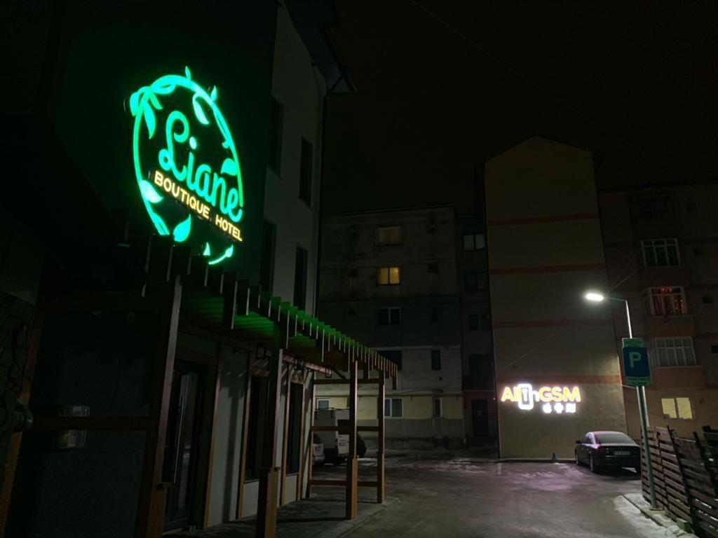 Liane Boutique Hotel Câmpulung Moldovenesc Exterior foto